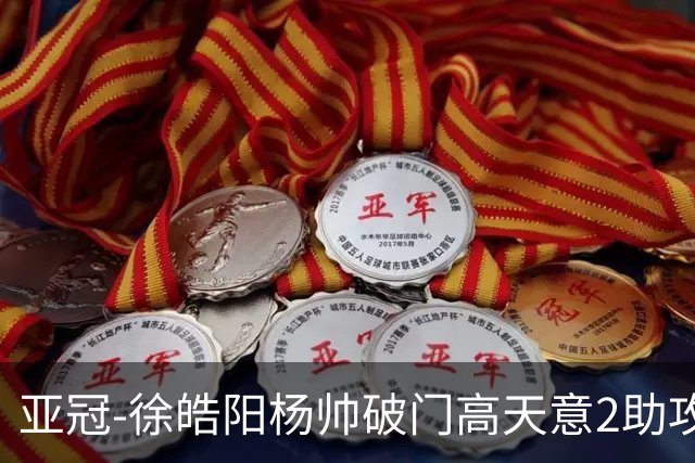 亚冠-徐皓阳杨帅破门高天意2助攻 申花2-1淡滨尼流浪者